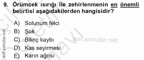 9. soru: Orümcek ısırığı ile zehirlenmenin en önemli belirtisi aşağıdakilerden hangisidir? A) Solunum felci B) Şok C) Bilinç k…