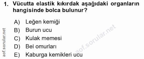 1. soru: Vücutta elastik kıkırdak aşağıdaki organların hangisinde bolca bulunur? A) Leğen kemiği B) Burun ucu lar.ne C) Kulak…