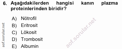 6. soru: Aşağıdakilerden hangisi kanın plazma proteinlerinden biridir? A) Notrofil B) Eritrosit C) Lökosit D) Trombosit E) Alb…