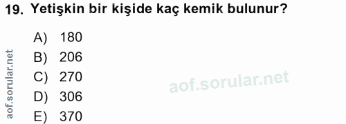 19. soru: Yetişkin bir kişide kaç kemik bulunur? A) 180 B) 206 C) 270 D) 306 E) 370