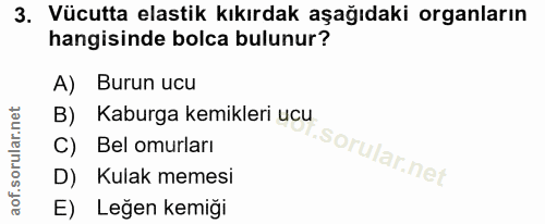 3. soru: Vücutta elastik kıkırdak aşağıdaki organların hangisinde bolca bulunur? A) Burun ucu B) Kaburga kemikleri ucu C) Bel…
