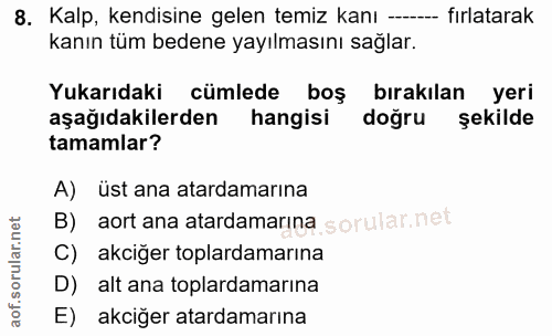8. soru: Kalp, kendisine gelen temiz kanı --- fırlatarak kanın tüm bedene yayılmasını sağlar. Yukarıdaki cümlede boş bırakılan…