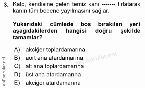 3. soru: Kalp, kendisine gelen temiz kanı --- fırlatarak kanın tüm bedene yayılmasını sağlar. Yukarıdaki cümlede boş bırakılan…