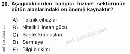 20. soru: Aşağıdakilerden hangisi hizmet sektörünün bütün alanlarındaki en önemli kaynaktır? A) Teknik cihazlar B) Nitelikli in…