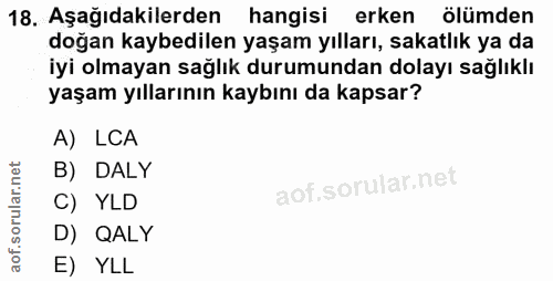 18. soru: Aşağıdakilerden hangisi erken ölümden doğan kaybedilen yaşam yılları, sakatlık ya da iyi olmayan sağlık durumundan do…