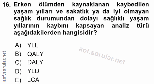 16. soru: Erken ölümden kaynaklanan kaybedilen yaşam yılları ve sakatlık ya da iyi olmayan sağlık durumundan dolayı sağlıklı ya…
