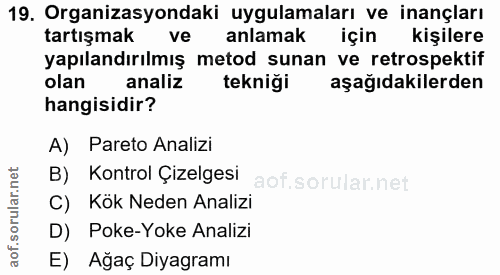 19. soru: Organizasyondaki uygulamaları ve inançları tartışmak ve anlamak için kişilere yapılandırılmış metod sunan ve retrospe…