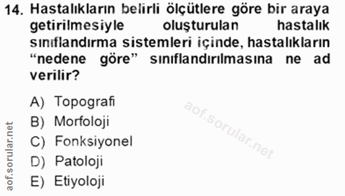 14. soru: Hastalıkların belirli ölçütlere göre bir araya getirilmesiyle oluşturulan hastalık sınıflandırma sistemleri içinde, h…