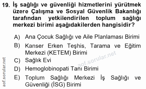 19. soru: İş sağlığı ve güvenliği hizmetlerini yürütmek üzere Çalışma ve Sosyal Güvenlik Bakanlığı tarafından yetkilendirilen t…