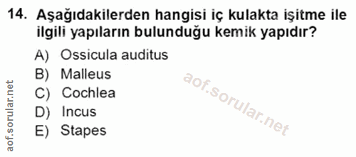 14. soru: Aşağıdakilerden hangisi iç kulakta işitme ile ilgili yapıların bulunduğu kemik yapıdır? A) Ossicula auditus B) Malleu…