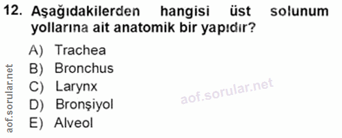 12. soru: Aşağıdakilerden hangisi üst solunum yollarına ait anatomik bir yapıdır? A) Trachea B) Bronchus C) Larynx D) Bronșiyol…