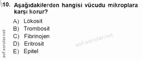10. soru: Aşağıdakilerden hangisi vücudu mikroplara karşı korur? A) Lökosit net B) Trombosit ar C) Fibrinojen oru D) Eritrosit…