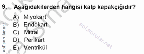 9. soru: Aşağıdakilerden hangisi kalp kapakçığıdır? A) Miyokart B) Endokart C) Mitral D) Perikart E) Ventrikül