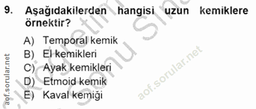 9. soru: Aşağıdakilerden hangisi uzun kemiklere örnektir? A) Temporal kemik B) El kemikleri c) Ayak kemikleri D) Etmoid kemik…