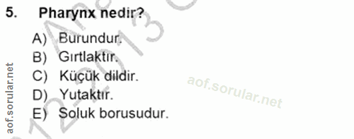 5. soru: Pharynx nedir? A) Burundur, B) Gırtlaktir. C) Küçük dildir. D) Yutaktır. E) Soluk borusudur.