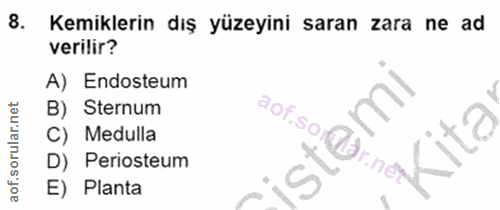8. soru: Kemiklerin dış yüzeyini saran zara ne ad verilir? A) Endosteum B) Sternum aof.so@ar.net C) Medulla D) Periosteum 9 E)…