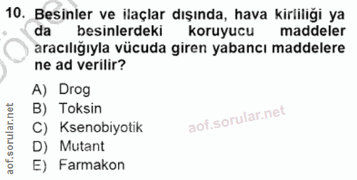 10. soru: Besinler ve ilaçlar dışında, hava kirliliği ya da besinlerdeki koruyucu maddeler aracılığıyla vücuda giren yabancı ma…