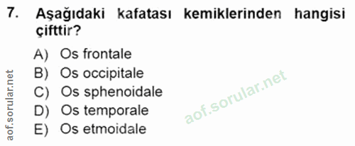 7. soru: Aşağıdaki kafatası kemiklerinden hangisi çifttir? A) Os frontale B) Os occipitale C) Os sphenoidale D) Os temporale E…