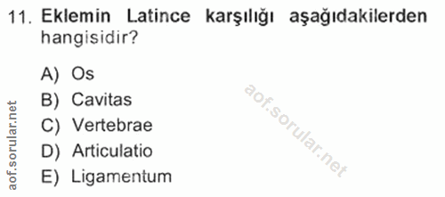 11. soru: Eklemin Latince karşılığı aşağıdakilerden hangisidir? A) Os B) Cavitas C) Vertebrae D) Articulatio of. E) Ligamentum