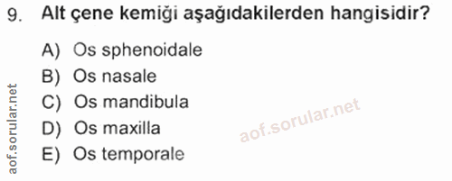 9. soru: Alt çene kemiği aşağıdakilerden hangisidir? A) Os sphenoidale B) Os nasale C) Os mandibula D) Os maxilla E) Os temporale
