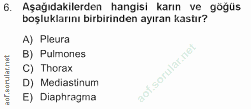 6. soru: Aşağıdakilerden hangisi karın ve göğüs boşluklarını birbirinden ayıran kastır? A) Pleura B) Pulmones C) Thorax D) Med…
