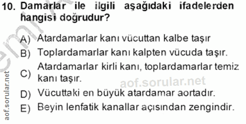 10. soru: Damarlar ile ilgili aşağıdaki ifadelerden hangisi doğrudur? A) Atardamarlar kanı vücuttan kalbe taşır B) Toplardamarl…