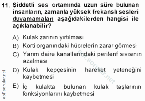 11. soru: Şiddetli ses ortamında uzun süre bulunan insanların, zamanla yüksek frekanslı sesleri duyamamaları aşağıdakilerden ha…