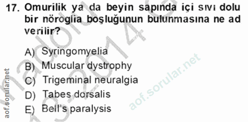 17. soru: Omurilik ya da beyin sapında içi sıvı dolu bir nöroglia boşluğunun bulunmasına ne ad verilir? A) Syringomyelia B) Mus…