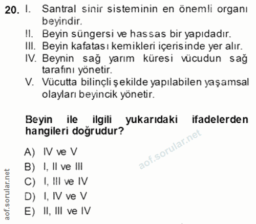 20. soru: I. Santral sinir sisteminin en önemli organı beyindir. II. Beyin süngersi ve hassas bir yapıdadır. III. Beyin kafatas…