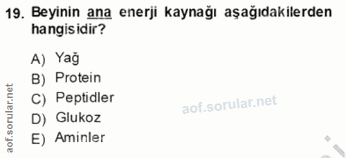 19. soru: Beyinin ana enerji kaynağı aşağıdakilerden hangisidir? A) Yağ B) Protein C) Peptidler D) Glukoz E) Aminler