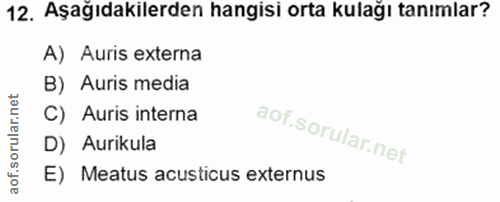 12. soru: Aşağıdakilerden hangisi orta kulağı tanımlar? A) Auris externa B) Auris media C) Auris interna D) Aurikula E) Meatus…