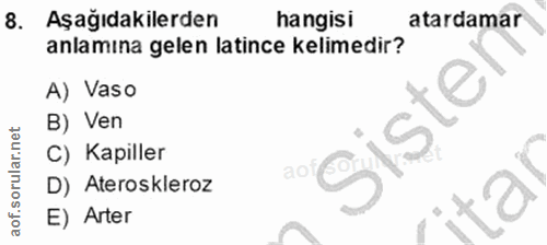 8. soru: Aşağıdakilerden hangisi atardamar anlamına gelen latince kelimedir? A) Vaso B) Ven Sister C) Kapiller aofs D) Aterosk…