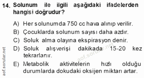 14. soru: Solunum ile ilgili aşağıdaki ifadelerden hangisi doğrudur? A) Her solunumda 750 cc hava alınıp verilir. B) Çocuklarda…