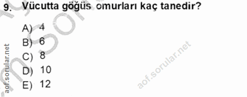 9. soru: Vücutta göğüs omurları kaç tanedir? A) 4 B) 6 c) 8 D) 10 E) 12