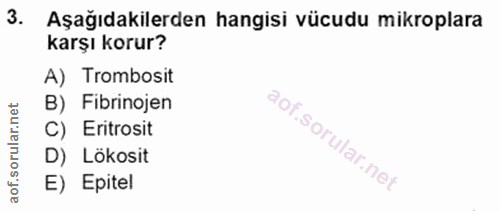 3. soru: Aşağıdakilerden hangisi vücudu mikroplara karşı korur? A) Trombosit B) Fibrinojen C) Eritrosit D) Lökosit E) Epitel