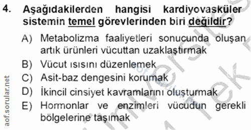 4. soru: Aşağıdakilerden hangisi kardiyovasküler sistemin temel görevlerinden biri değildir? A) Metabolizma faaliyetleri sonuç…