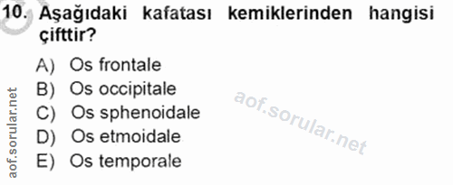 10. soru: Aşağıdaki kafatası kemiklerinden hangisi çifttir? A) Os frontale B) Os occipitale C) Os sphenoidale D) Os etmoidale E…