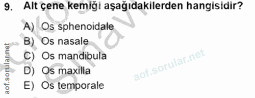 9. soru: Alt çene kemiği aşağıdakilerden hangisidir? A) Os sphenoidale B) Os nasale C) Os mandibula D) Os maxilla E) Os temporale
