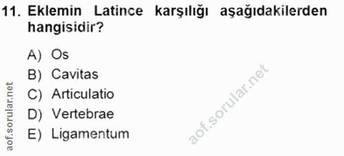 11. soru: Eklemin Latince karşılığı aşağıdakilerden hangisidir? A) Os B) Cavitas rular.n C) Articulatio D) Vertebrae aof.so E)…