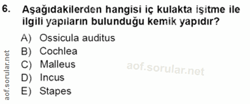 6. soru: Aşağıdakilerden hangisi iç kulakta işitme ile ilgili yapıların bulunduğu kemik yapıdır? A) Ossicula auditus B) Cochle…