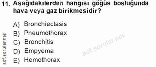 11. soru: Aşağıdakilerden hangisi göğüs boşluğunda hava veya gaz birikmesidir? A) Bronchiectasis B) Pneumothorax C) Bronchitis…