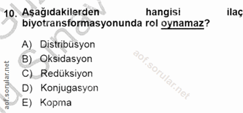 10. soru: Aşağıdakilerden hangisi ilaç biyotransformasyonunda rol oynamaz? A) Distribüsyon B) Oksidasyon C)_ Redüksiyon .sorula…