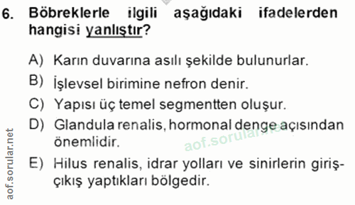 6. soru: Böbreklerle ilgili aşağıdaki ifadelerden hangisi yanlıştır? A) Karın duvarına asılı şekilde bulunurlar. B) İşlevsel b…