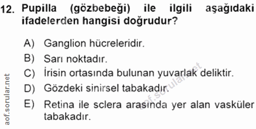 12. soru: Pupilla (gözbebeği) ile ilgili aşağıdaki ifadelerden hangisi doğrudur? A) Ganglion hücreleridir. B) Sarı noktadir. C)…