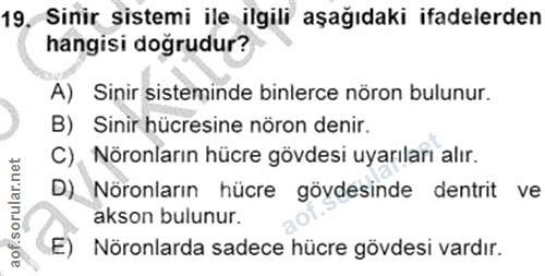 19. soru: Sinir sistemi ile ilgili aşağıdaki ifadelerden hangisi dogrudur? A) Sinir sisteminde binlerce nöron bulunur. B) Sinir…
