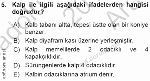 5. soru: Kalp ile ilgili aşağıdaki ifadelerden hangisi doğrudur? A). Kalb tabanı altta, tepesi üstte olan bir koniye benzer. B…