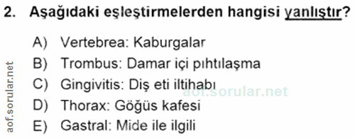 2. soru: Aşağıdaki eşleştirmelerden hangisi yanlıştır? A) Vertebrea: Kaburgalar B) Trombus: Damar içi pıhtılaşma C) Gingivitis…