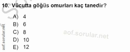 10. soru: Vücutta göğüs omurları kaç tanedir? -A) 1 4 B) 6 C) 8 D) 10 E) 12