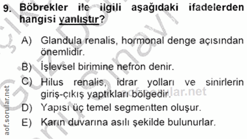 9. soru: Böbrekler itemilgili aşağıdaki ifadelerden hangisi yanlıştır? A) Glandula renalis, hormonal denge açısından önemlidir…