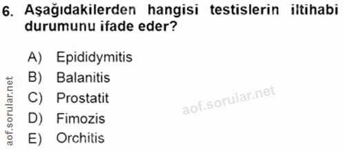 6. soru: Aşağıdakilerden hangisi testislerin iltihabi durumunu ifade eder? A) Epididymitis B) Balanitis C) Prostatit D) Fimozi…